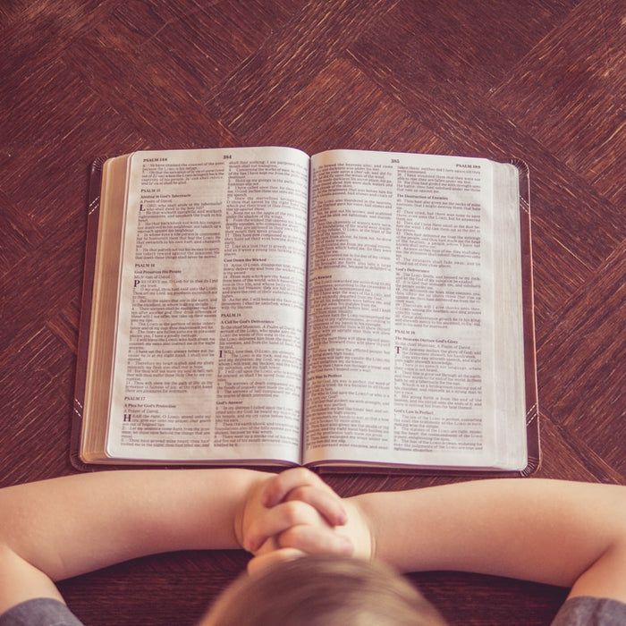 The Importance of Biblical Literacy Pt. 3
