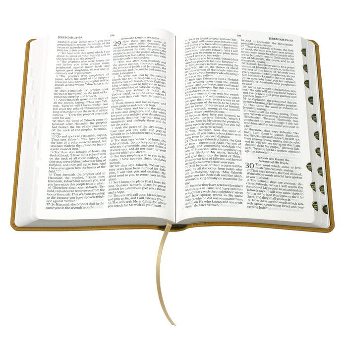 Legacy Standard Bible, 2 Column Verse-by-Verse - Faux Leather