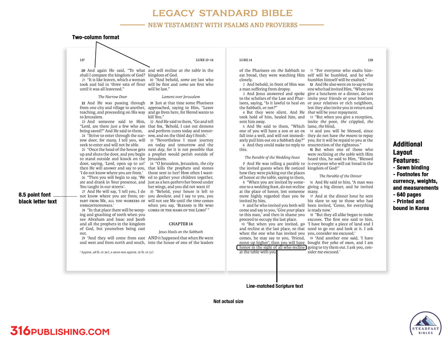 Legacy Standard Bible, New Testament with Psalms and Proverbs - Faux Leather