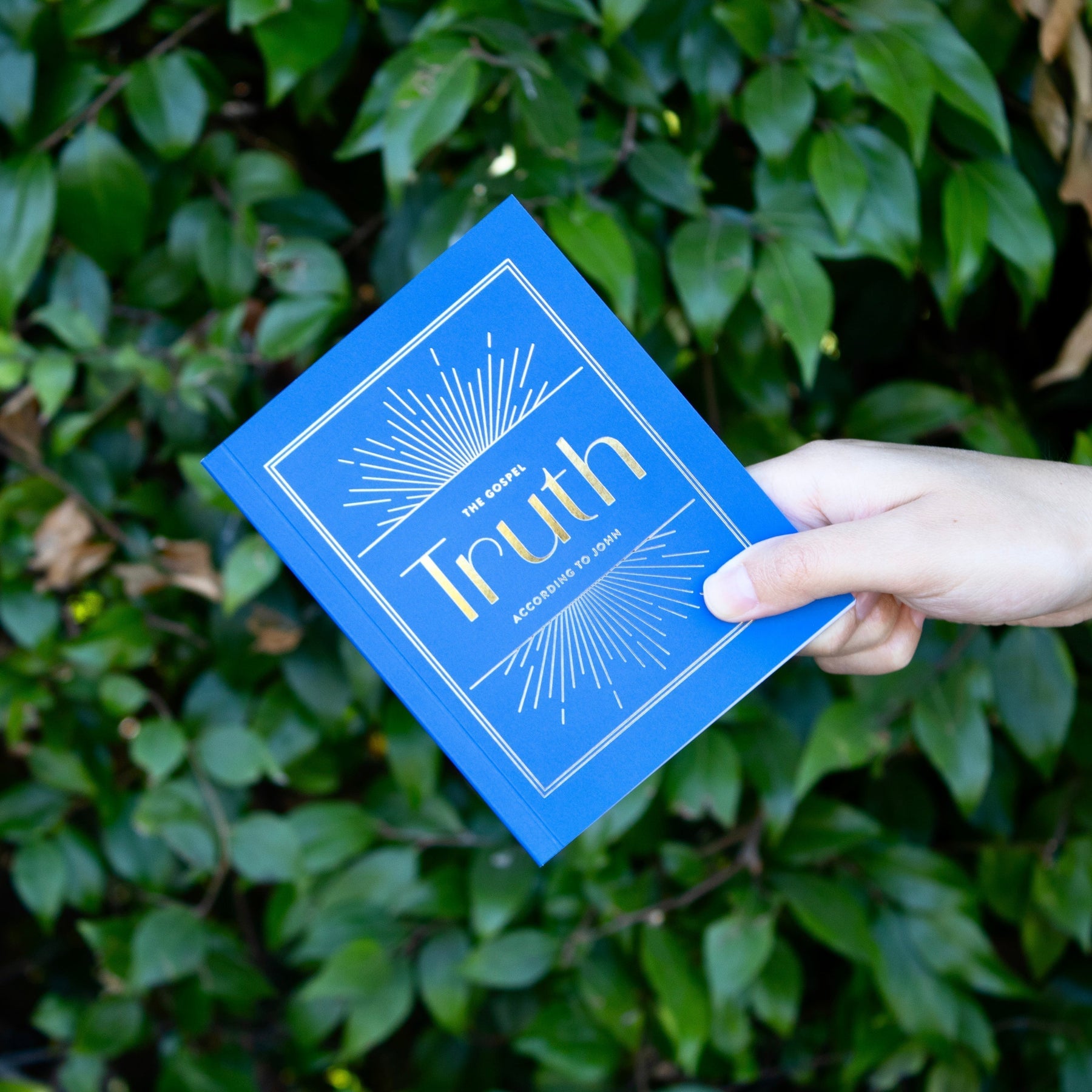 August 2025: The Gospel of John - And More!