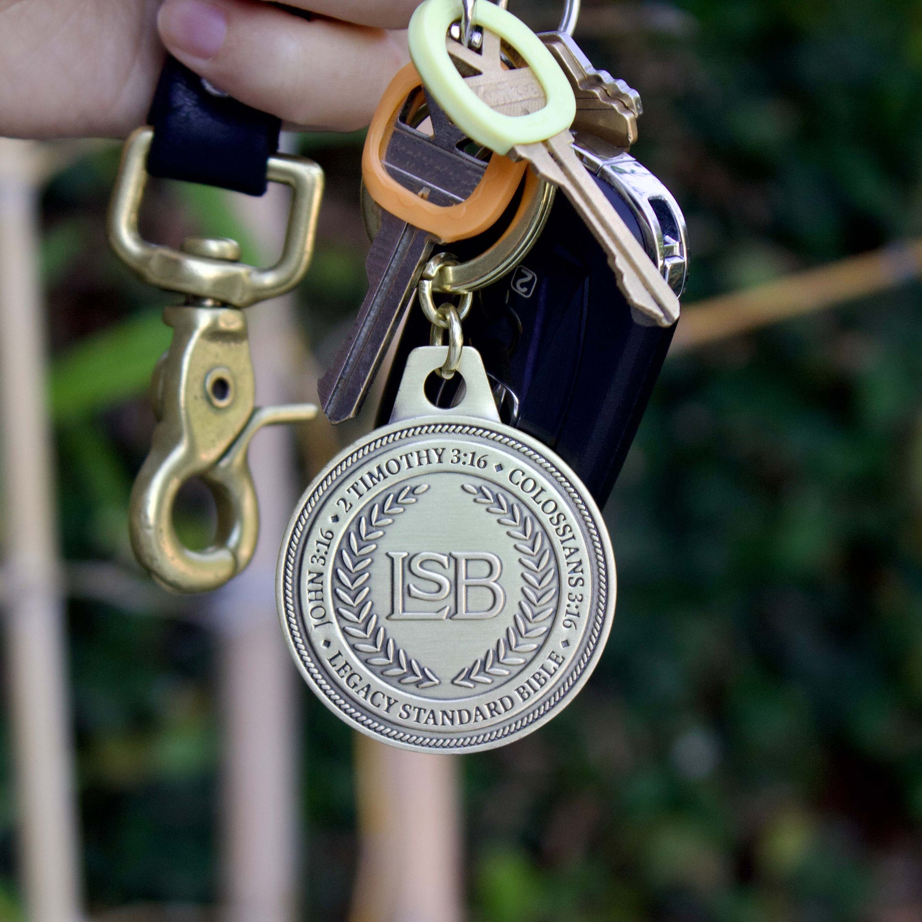 February 2026 LSB Project Update: The LSB Digital Initiative - Phase 1 Now Available!