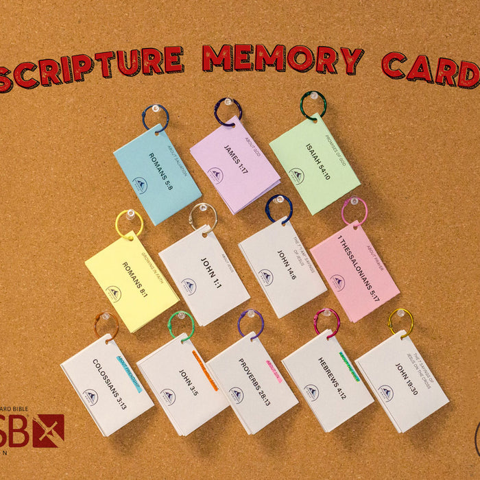 Scripture Memory Cards Are Here!
