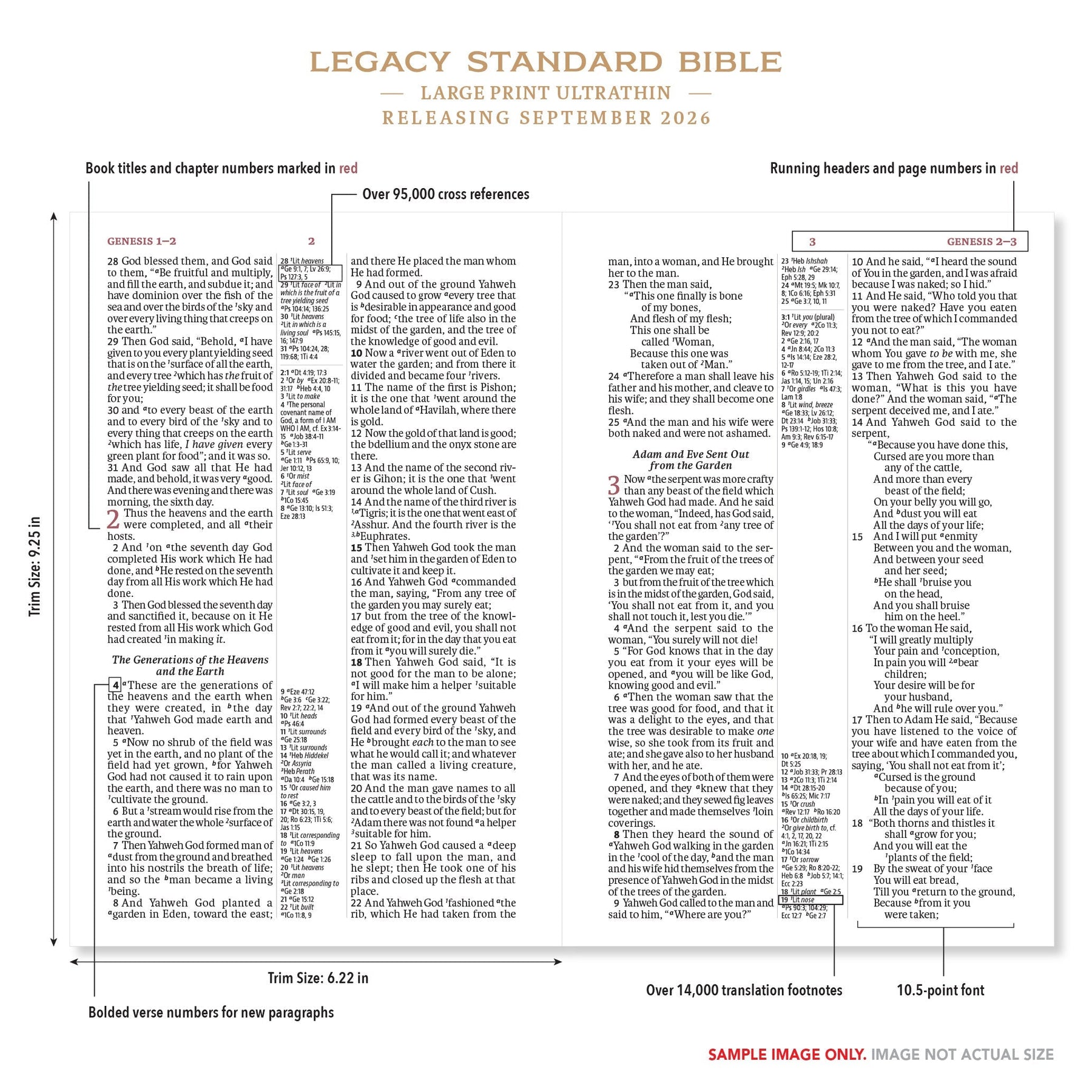 PREORDERS OPEN: The LSB Large Print Ultrathin