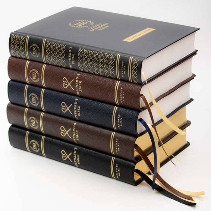 2025 Year End LSB Project Update: The LSB Shepherd's Bible & More!