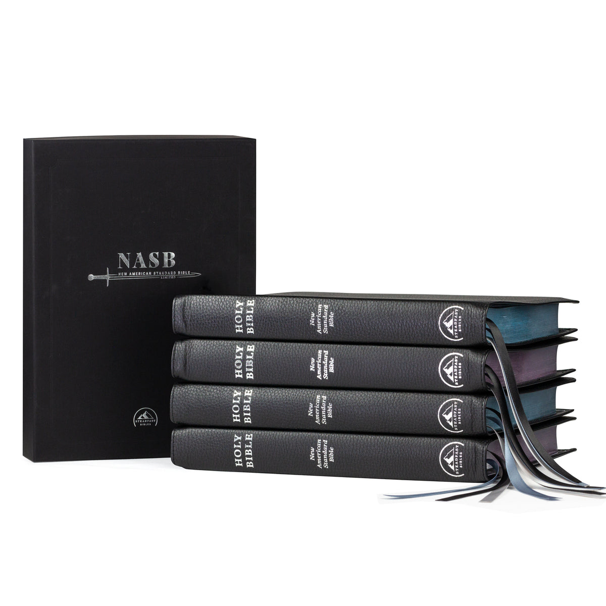 NASB Large Print Ultrathin Reference Bible — 316 Publishing