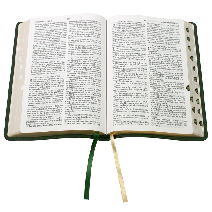 Legacy Standard Bible, 2 Column Verse-by-Verse - Paste-Down Cowhide