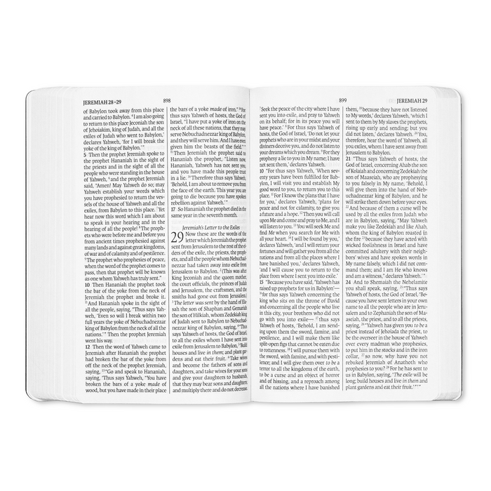 Legacy Standard Bible, Compact Edition Soft Faux