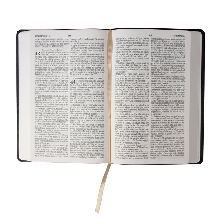 GALLERY ONLY - Legacy Standard Bible, 2 Column Verse-by-Verse - Faux Leather