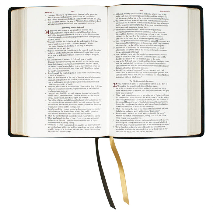GALLERY ONLY - Legacy Standard Bible, Large Print Wide Margin - Paste-Down Cowhide