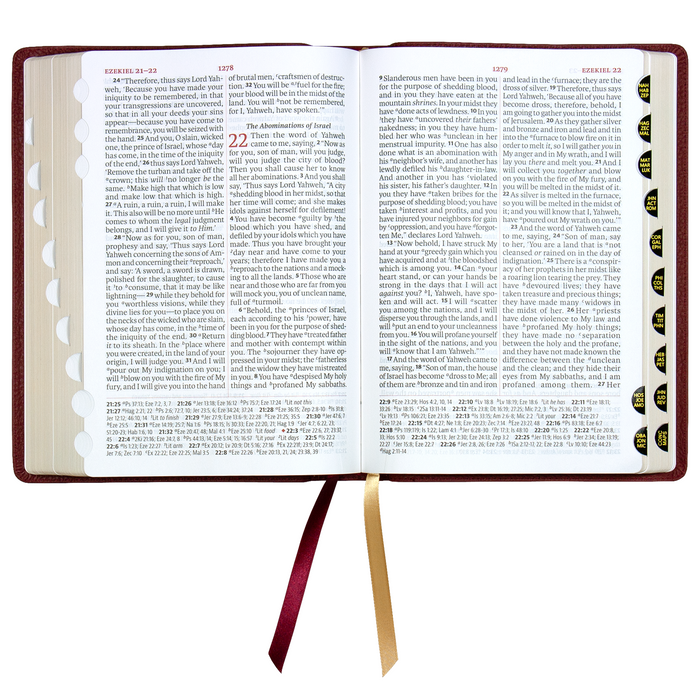Legacy Standard Bible, Giant Print Reference Edition - Paste-Down Cowhide