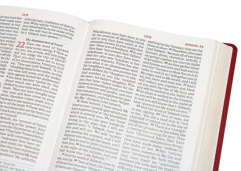 GALLERY ONLY - Legacy Standard Bible, Giant Print Reference Edition - Paste-Down Faux Leather