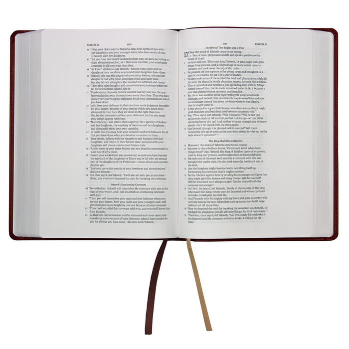 Legacy Standard Bible, Journaling Edition - Paste-Down Faux Leather