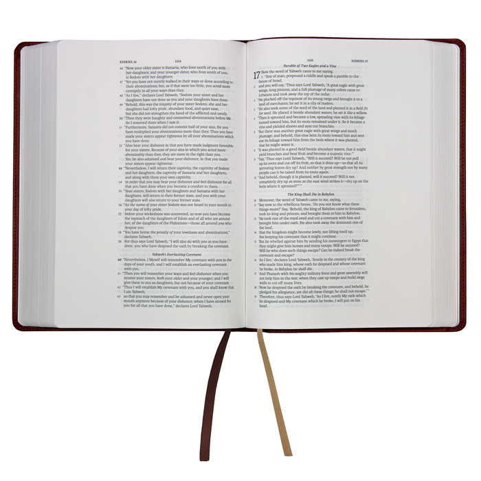GALLERY ONLY - Legacy Standard Bible, Journaling Edition - Paste-Down Faux Leather
