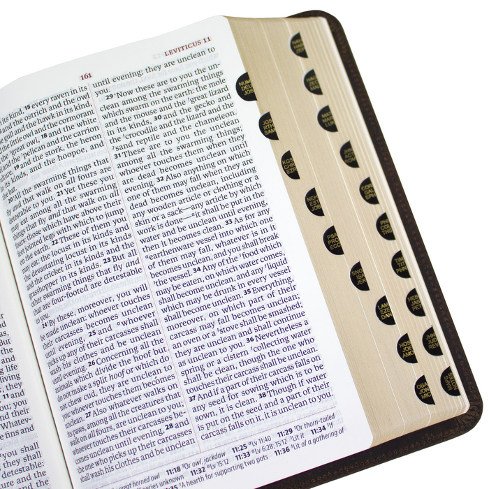 Legacy Standard Bible, Portable Paragraph Reference - Paste-Down Italian Cowhide