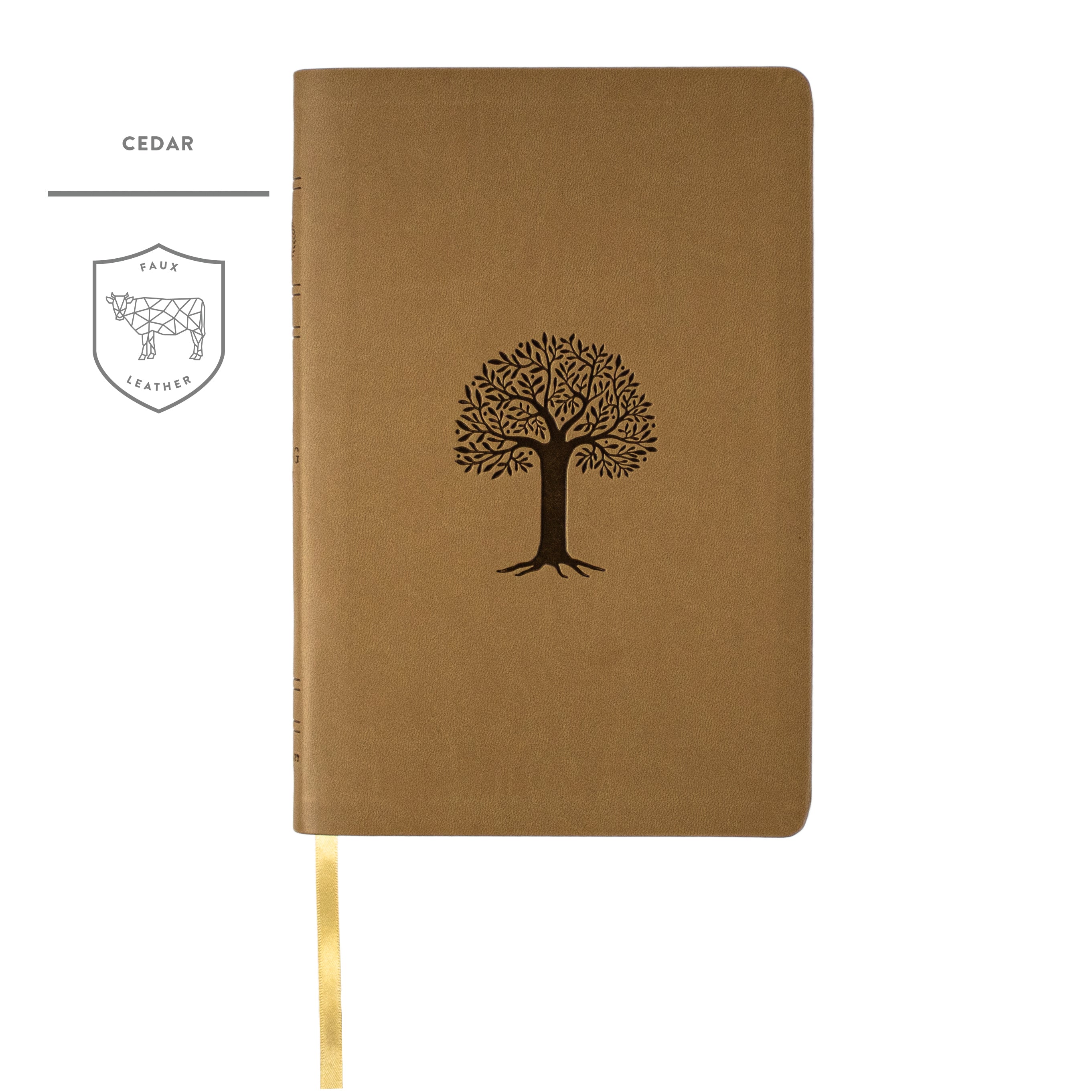 Daily_Reading_Bible_Cover_Faux
