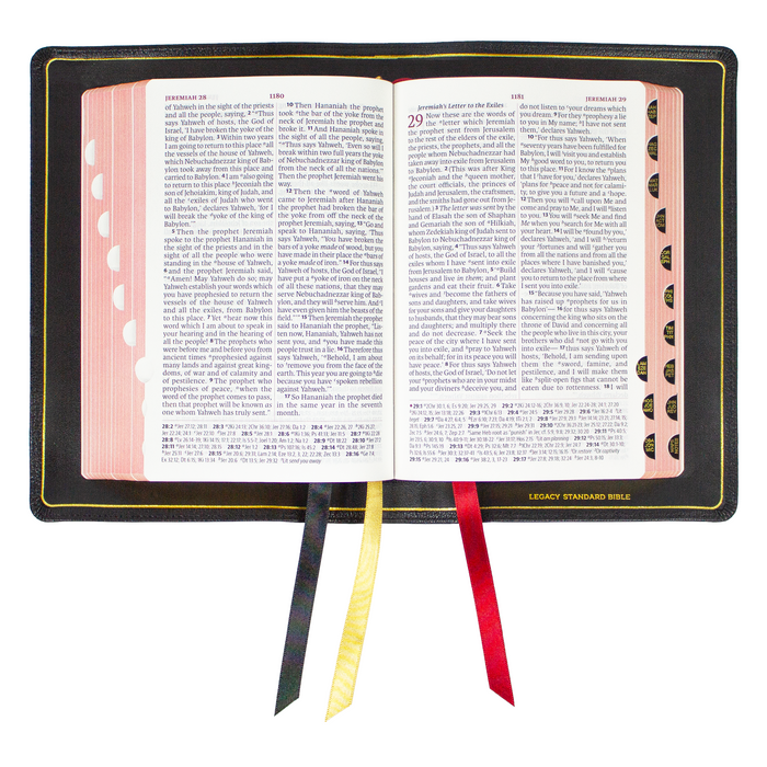 Legacy Standard Bible, Portable Paragraph Reference - Edge-Lined Shamar Goatskin Full Yapp