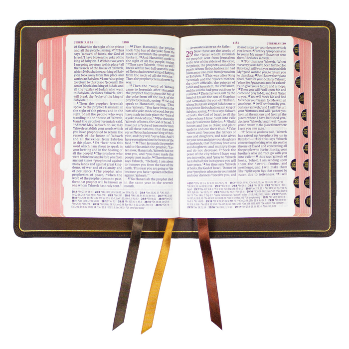 Legacy Standard Bible, Portable Paragraph Reference - Edge-Lined Italian Cowhide Full Yapp