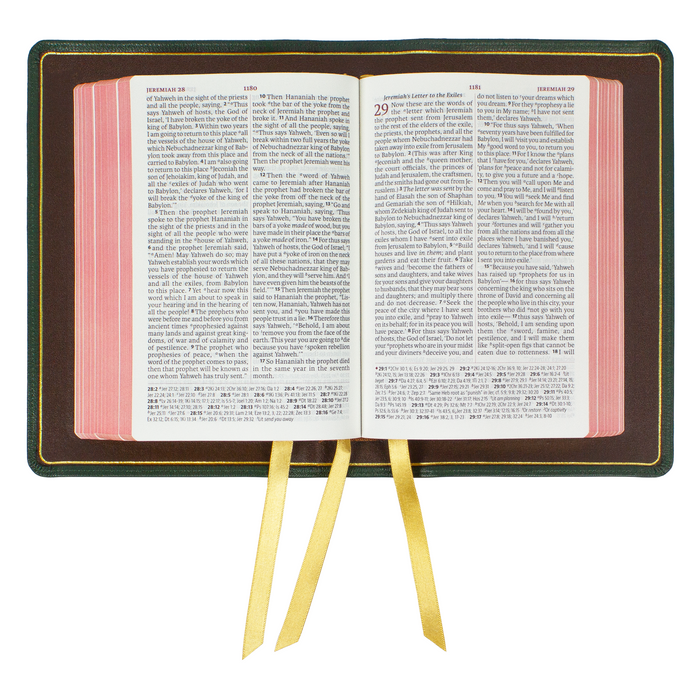 Legacy Standard Bible, Portable Paragraph Reference - Edge-Lined Shamar Goatskin Full Yapp