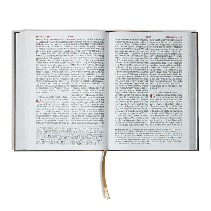 Legacy Standard Bible, Giant Print Reference Edition - Hardcover — 316 ...
