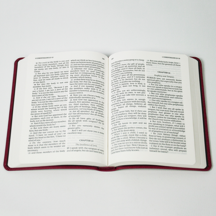 Legacy Standard Bible, Genesis, New Testament, Psalms and Proverbs - Faux Leather