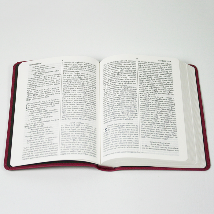 LSB Genesis New Testament with Psalms and Proverbs | Faux Leather