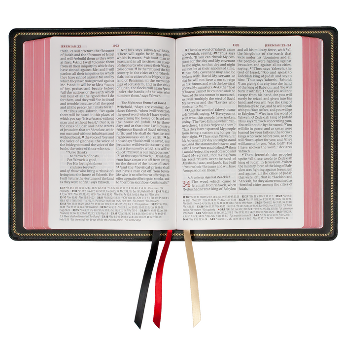 Legacy Standard Bible, Giant Print Reference Edition - Edge-Lined Goatskin
