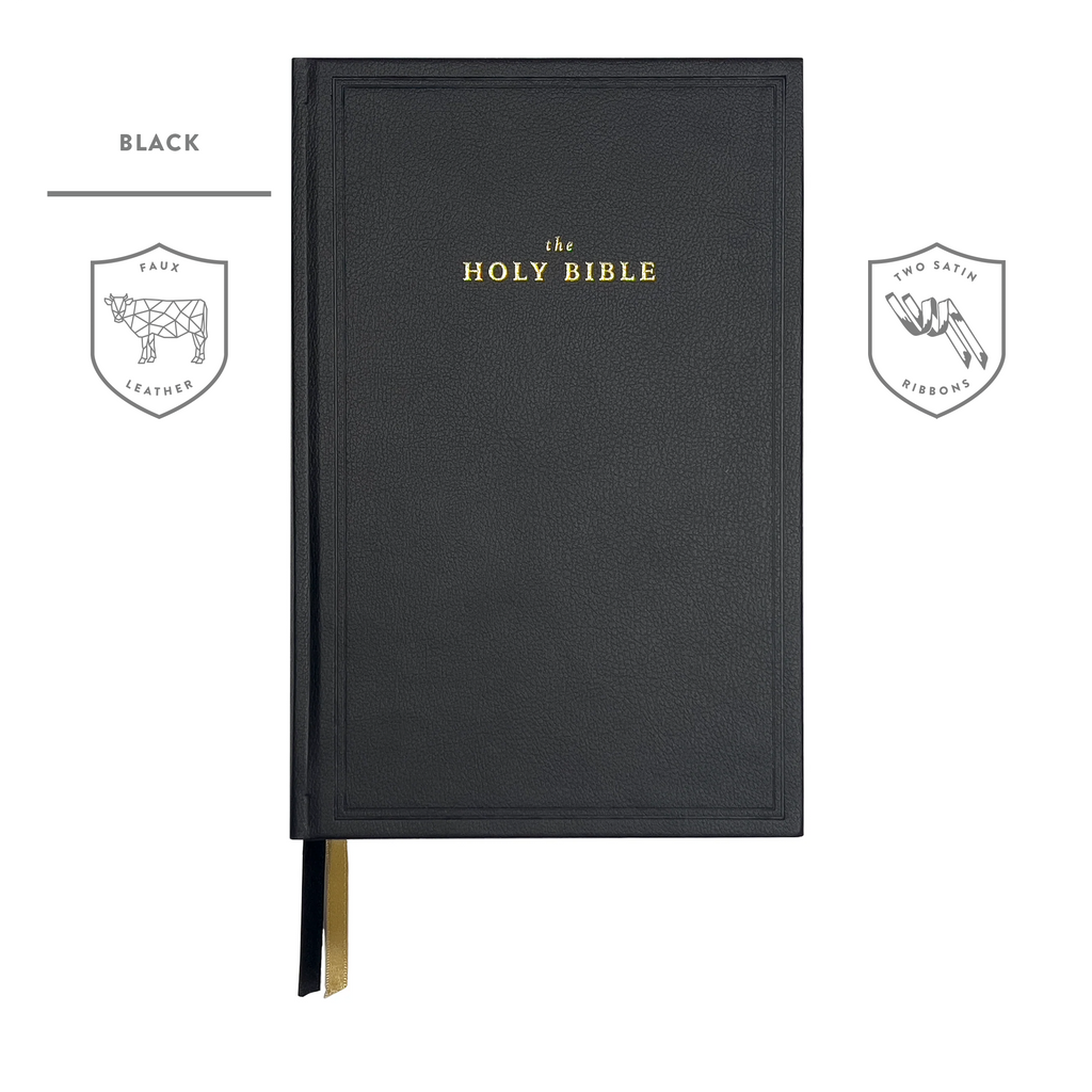 Legacy Standard Bible, Handy Size Faux Leather Hardcover — 316
