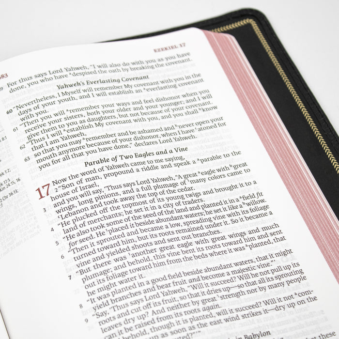 Legacy Standard Bible, Handy Size, Inside Column Reference Red Letter - Edge-Lined Goatskin