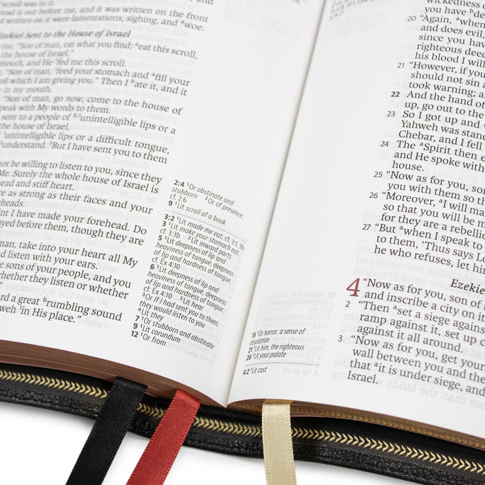Legacy Standard Bible, Handy Size, Inside Column Reference Red Letter - Edge-Lined Goatskin