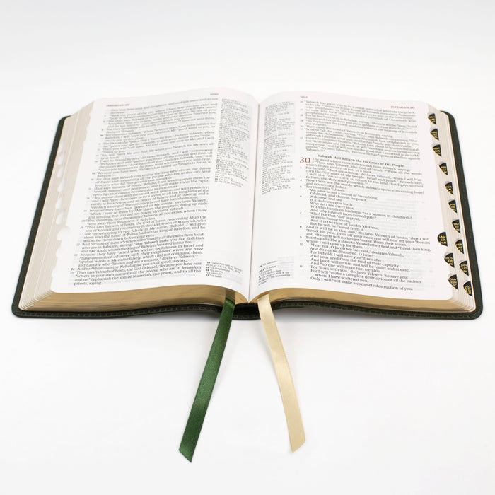 Legacy Standard Bible, Handy Size, Inside Column Reference Red Letter - Paste-Down Cowhide