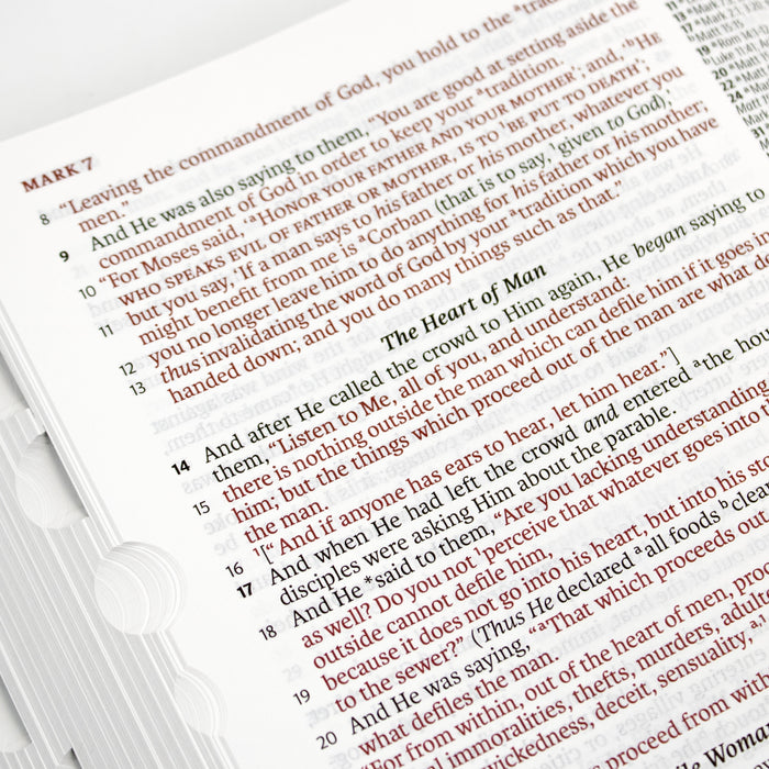 Legacy Standard Bible, Handy Size, Inside Column Reference Red Letter - Paste-Down Faux Leather