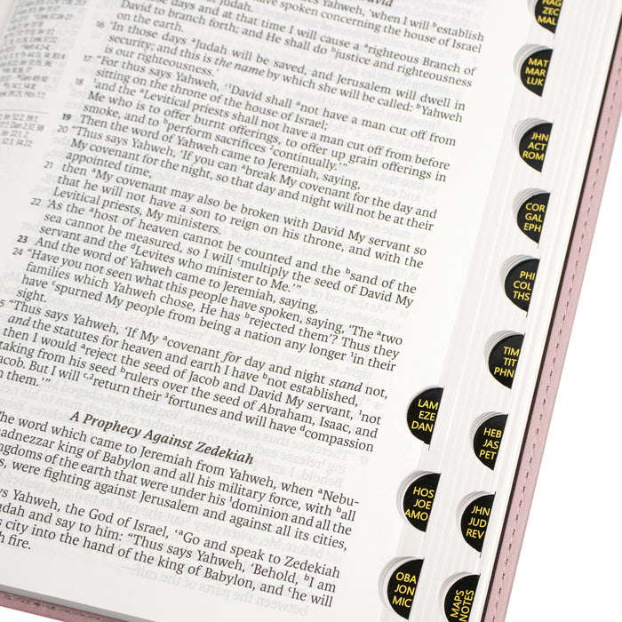 Legacy Standard Bible, Handy Size, Inside Column Reference Red Letter - Paste-Down Faux Leather