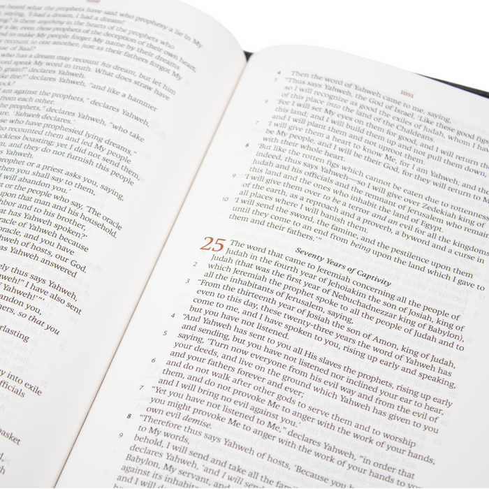 Legacy Standard Bible, Handy Size, Red Letter - Edge-Lined Goatskin