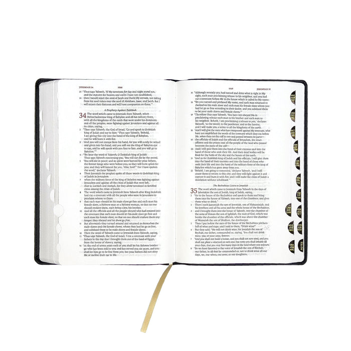 GALLERY ONLY - Legacy Standard Bible, Handy Size, Red Letter - Faux Leather