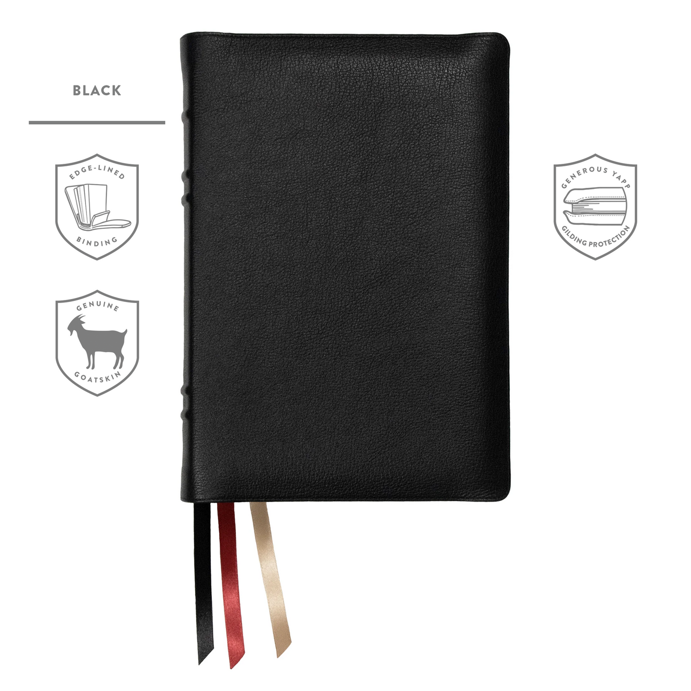 Edge-Lined & Paste-Down Bibles