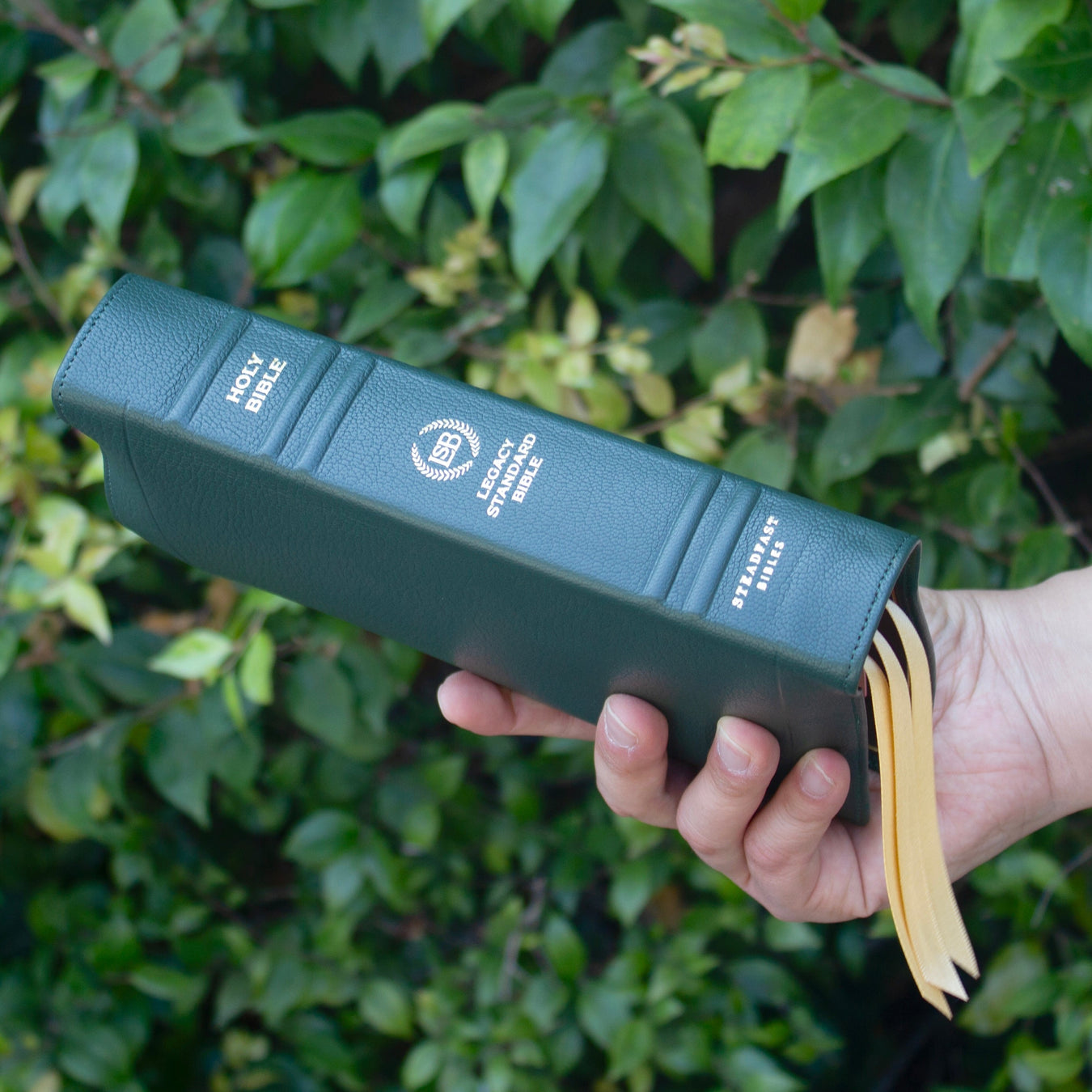A hand holding a dark green faux-leather Holy Bible book-shaped pouch with gold embossed text, set against a background of green foliage.