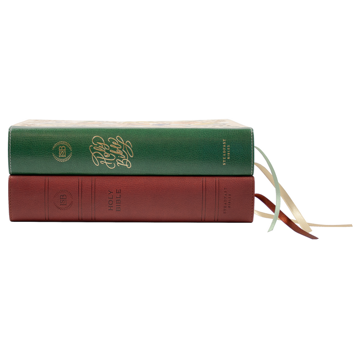 Legacy Standard Bible, Journaling Edition - Paste-Down Faux Leather
