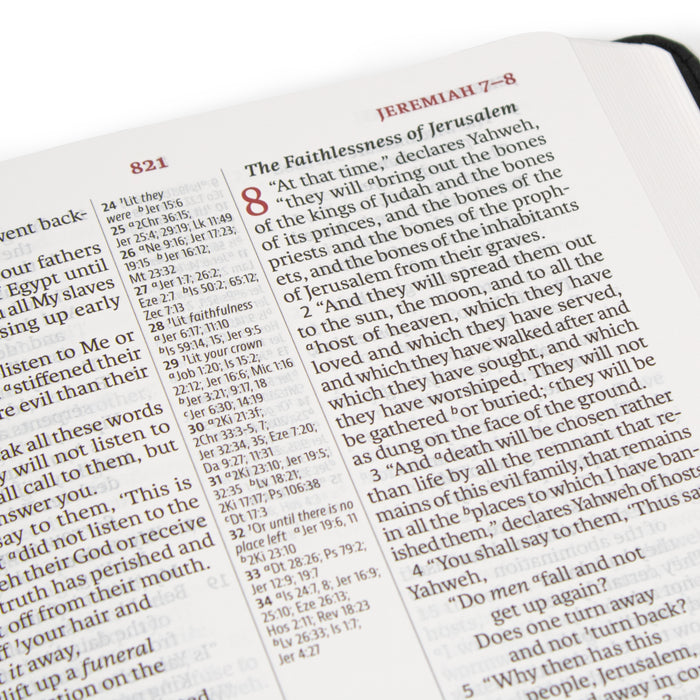 Legacy Standard Bible, Large Print Ultrathin - Paste-Down Faux Leather