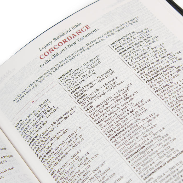 Legacy Standard Bible, Large Print Ultrathin - Paste-Down Faux Leather