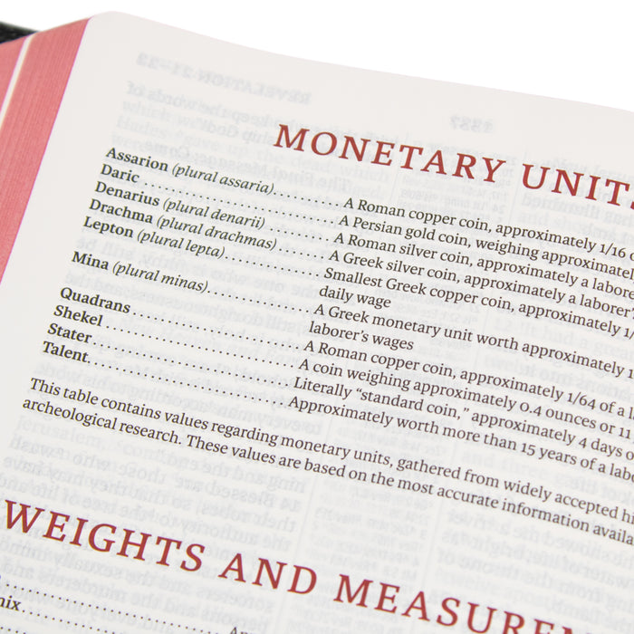 Legacy Standard Bible, Large Print Ultrathin - Edge-Lined Goatskin