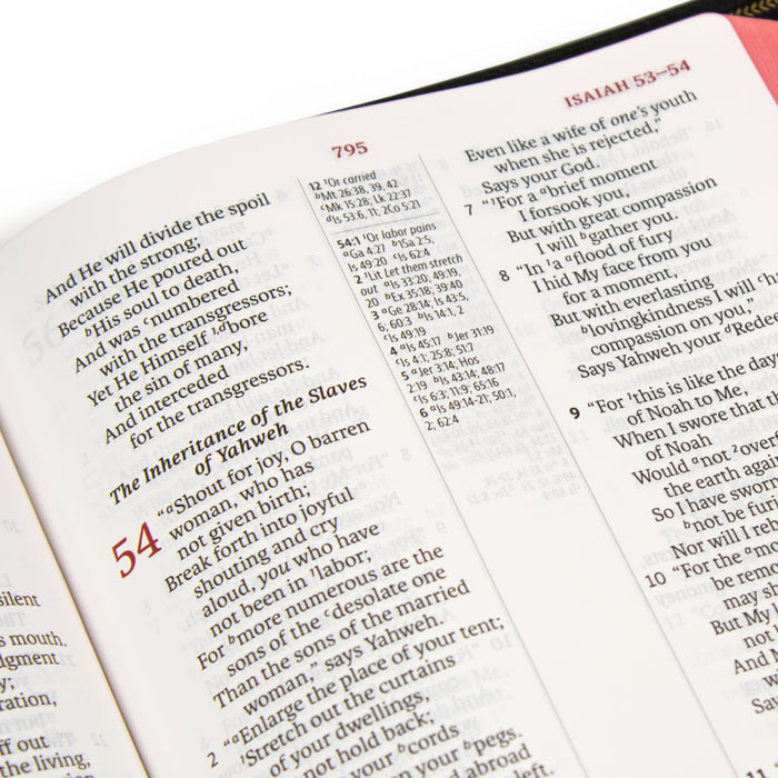 Legacy Standard Bible, Large Print Ultrathin - Edge-Lined Goatskin