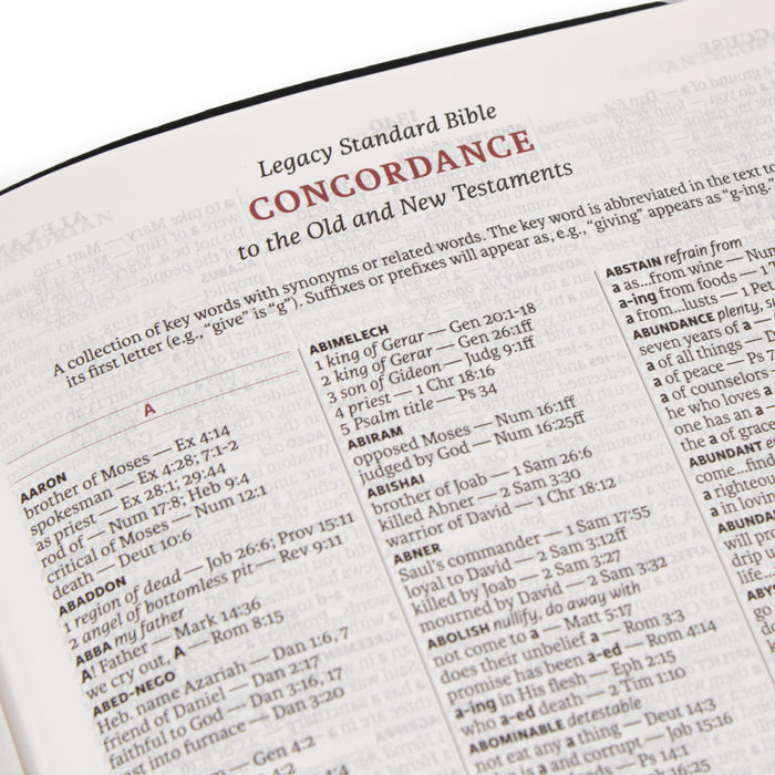 Legacy Standard Bible, Large Print Ultrathin- Paste-Down Cowhide