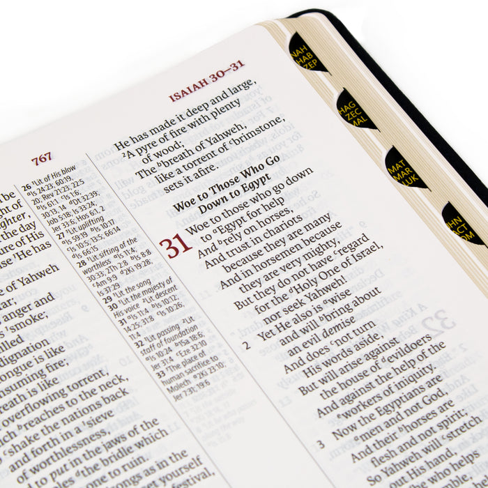 Legacy Standard Bible, Large Print Ultrathin- Paste-Down Cowhide