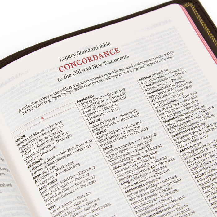 Legacy Standard Bible, Large Print Ultrathin - Edge-Lined Cowhide