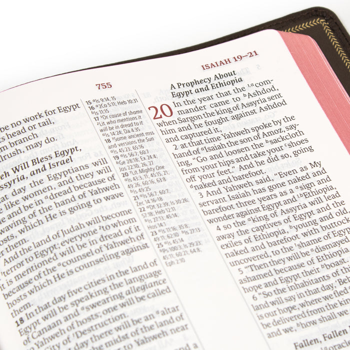 Legacy Standard Bible, Large Print Ultrathin - Edge-Lined Cowhide