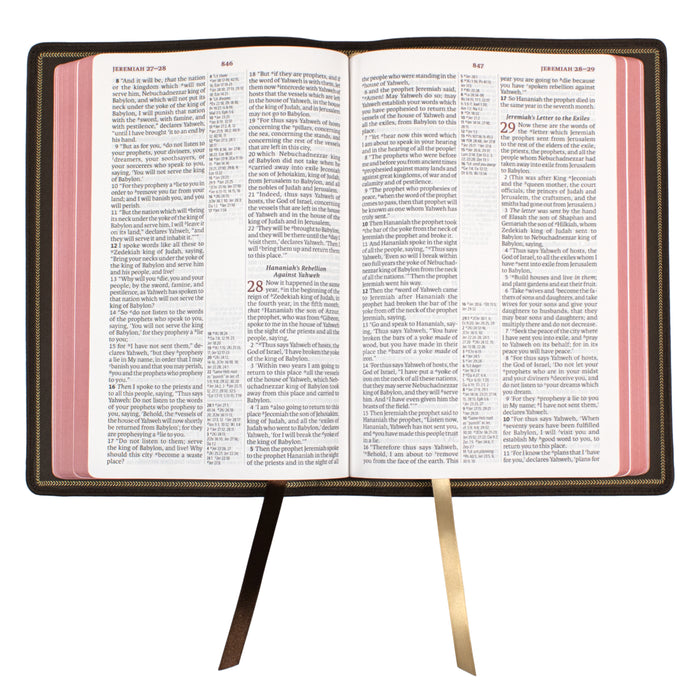 Legacy Standard Bible, Large Print Ultrathin - Edge-Lined Cowhide