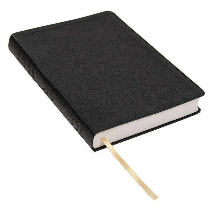 Legacy Standard Bible, Large Print Ultrathin - Paste-Down Faux Leather
