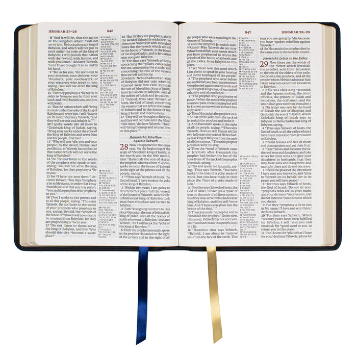 Legacy Standard Bible, Large Print Ultrathin- Paste-Down Cowhide