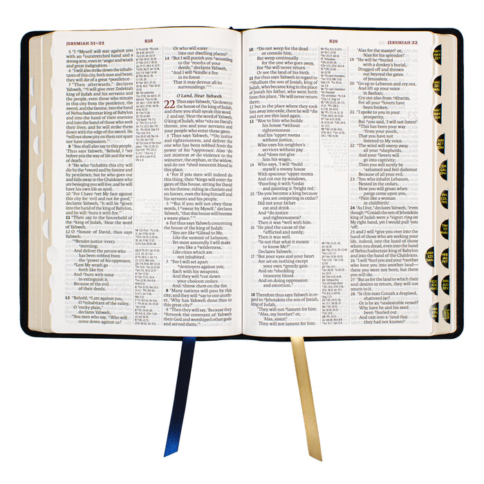 Legacy Standard Bible, Large Print Ultrathin- Paste-Down Cowhide