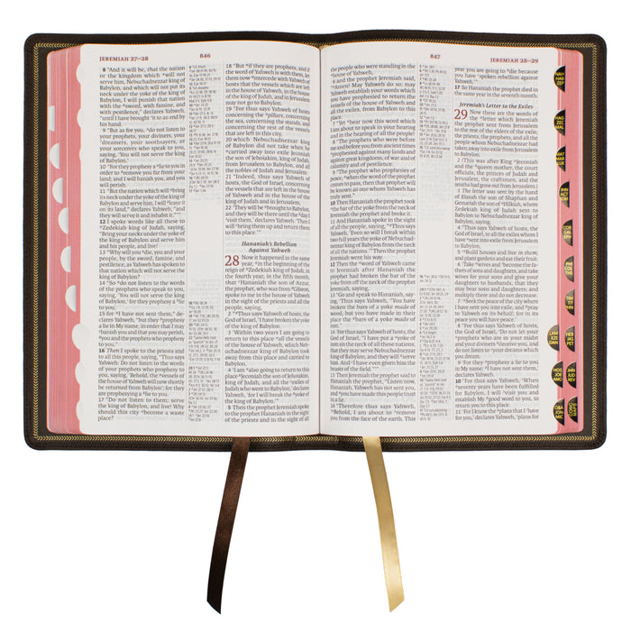 Legacy Standard Bible, Large Print Ultrathin - Edge-Lined Cowhide